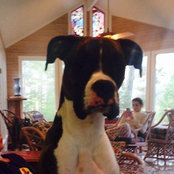Kim Hoover's photo