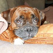 Mary Fredricksen's photo