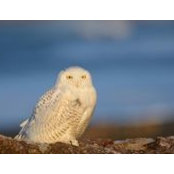 Gregg Green's photo
