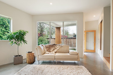 Example of a minimalist living room design in Minneapolis