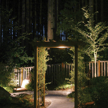 Landscape Lighting