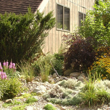 Water Garden