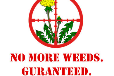No More Weeds Guarantee