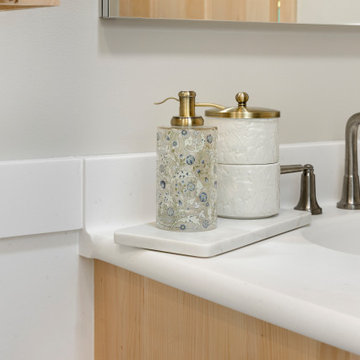 Universal design bath - Minneapolis
