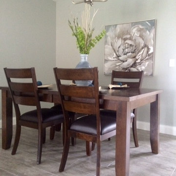 Carrollwood Staging (vacant house)