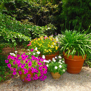 Container Gardens