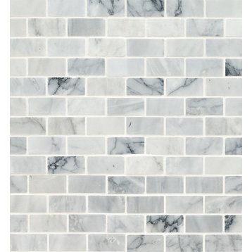 Carrara Classique 1x2 Brick Pattern Honed Marble Mosaic, Sample
