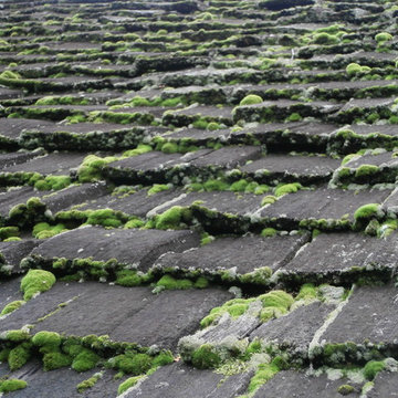 December 2016 - FSan - Roof restoration, power wash, repair, treatment