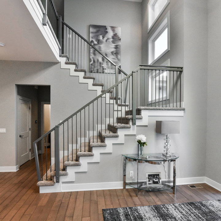 75 Beautiful Carpeted Staircase Pictures & Ideas