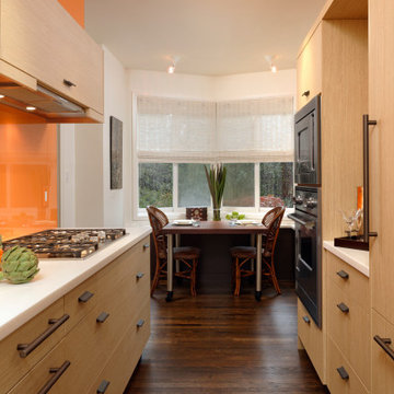 Contemporary Galley Kitchen Design in Washington, DC