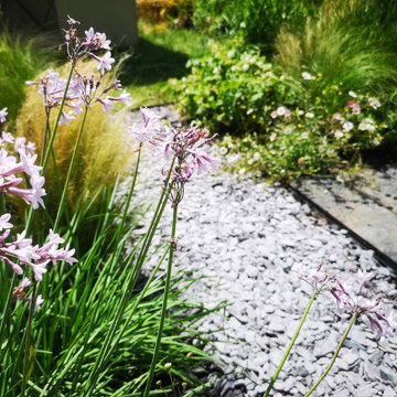 Hampton Court Palace Garden Festival 2019