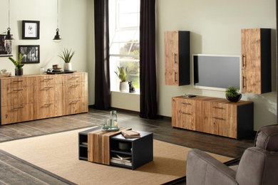 Example of a mid-sized trendy enclosed living room design in Other