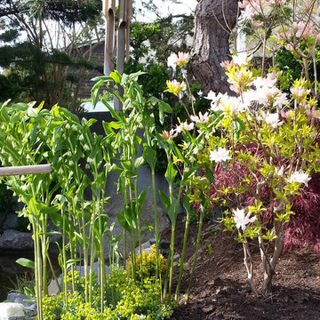 Landscaping and Maintenance