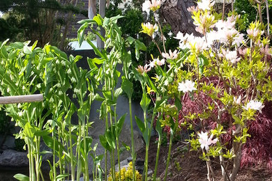 This is an example of a landscaping in Vancouver.