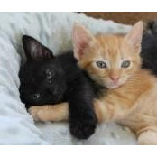 Susan Jones's photo