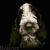 Deborah Wagh's photo