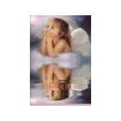 Salvatore Darcante's photo