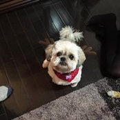 Lynne Killingbeck's photo
