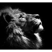 Stacy Brickell's photo