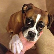 John Pitera's photo