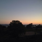 Deirdre Costin's photo