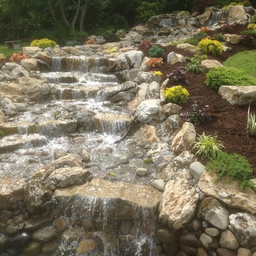 Pond Paradise Designs assorted photos