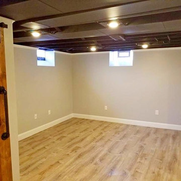 BASEMENT JOB 1
