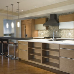 Contemporary Kitchen Cabinets - Products