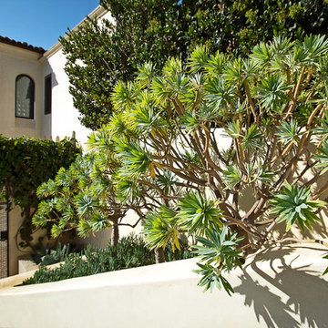 Moroccan House