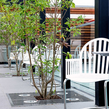 City Market at O Street Apartments Rooftop