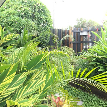 Indooroopilly Garden
