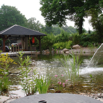 Schwimmteich / Büchen