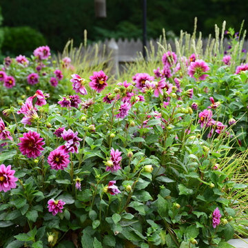 Design/ Build- A Gardener's Garden