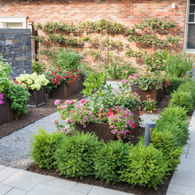 Brad’s Front Yard