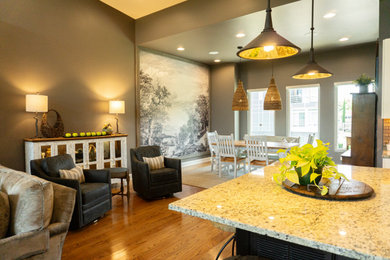 Example of a transitional living room design in Other