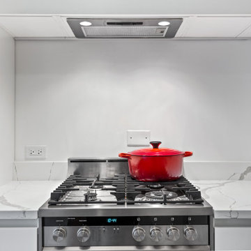 A Compact, Elegant Chicago Kitchen