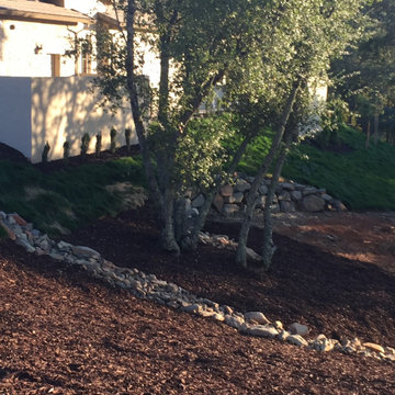 El Dorado Hills - Serrano Complete Landscape