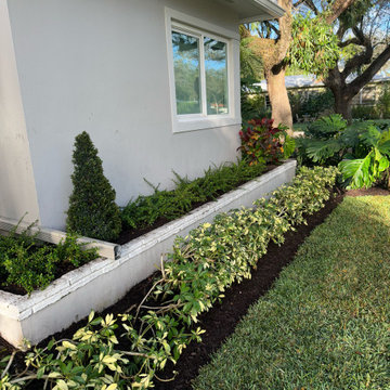Miami Shores Landscape Design