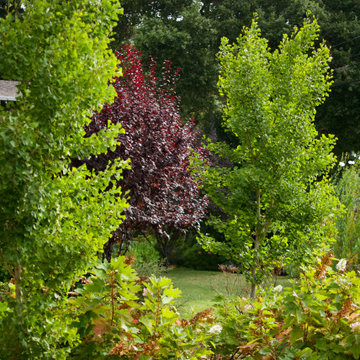 Atherton Pollinator Haven