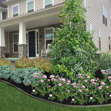 Foundation Plantings