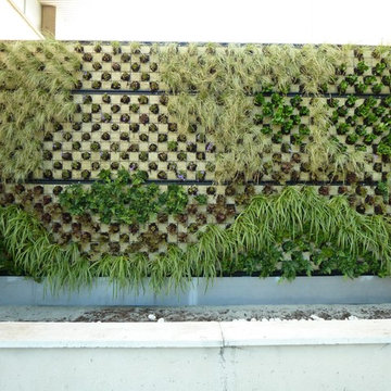 Proyecto y realización de un Jardín vertical para la Mancomunidad de la Comarca