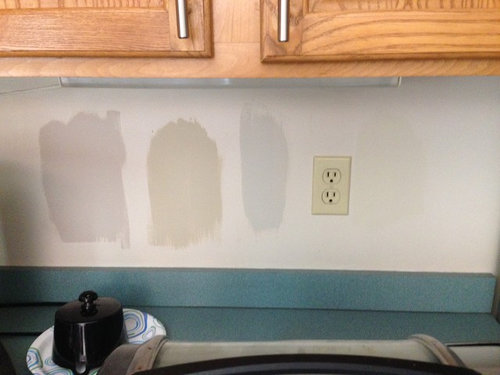 Help Spent Weeks Trying To Decide A Kitchen Color Oak Kitchen