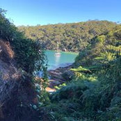 Matt Steele's photo