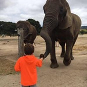 Alyson Calhoun's photo