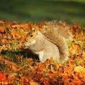 Penny Batson's photo