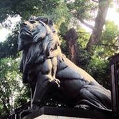 Polo Romero's photo