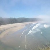 Lisa Birch Baughman's photo