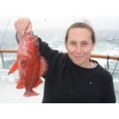 Stephanie Campbell's photo