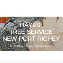 Hayes Tree Service