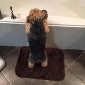 Jill Jackson's photo